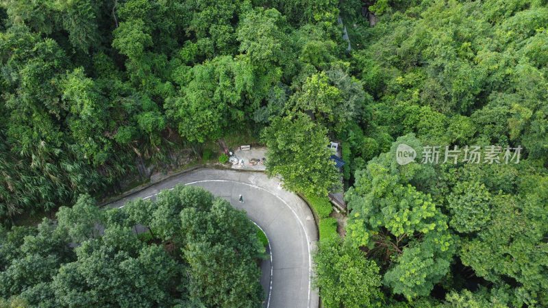 广东东莞银瓶山森林公园清溪景区登山步道