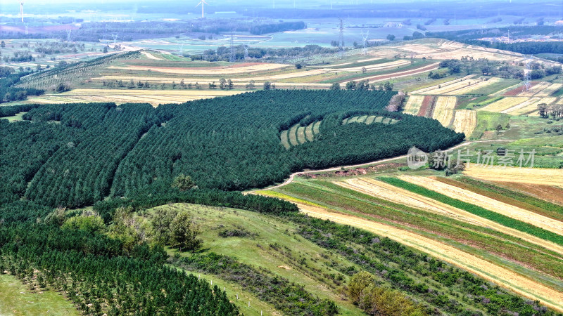 张家口坝上成熟的梯田大地调色板