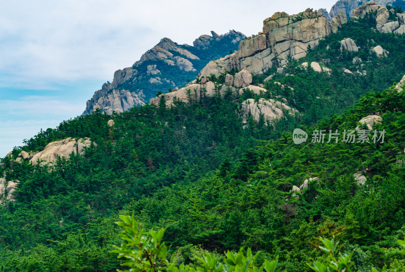 青岛崂山仰口风景区，起伏的山峰和茂密松林