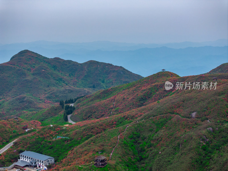 长沙市浏阳大围山杜鹃花海风光