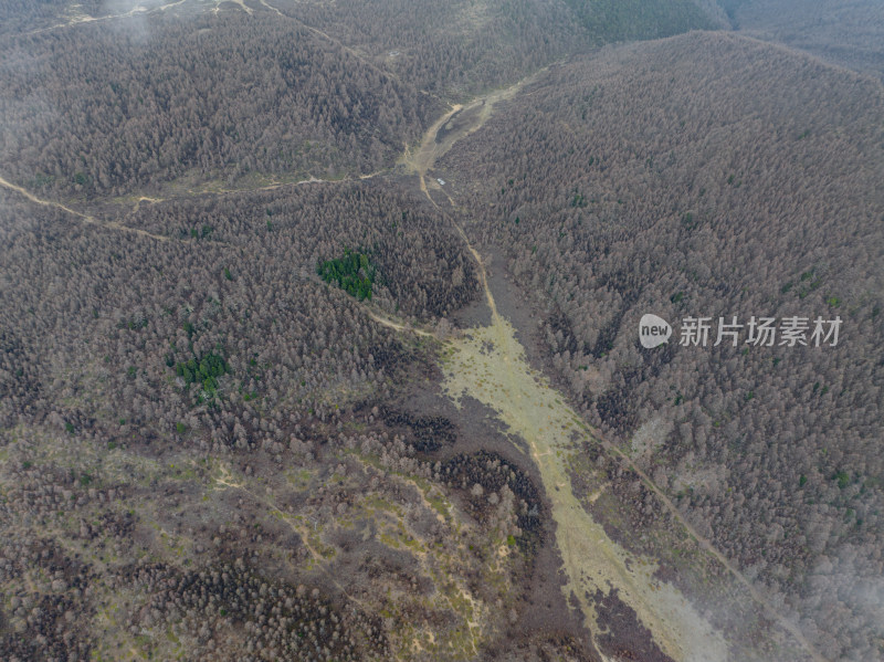 航拍香格里拉云雾中宏伟的雪山、森林