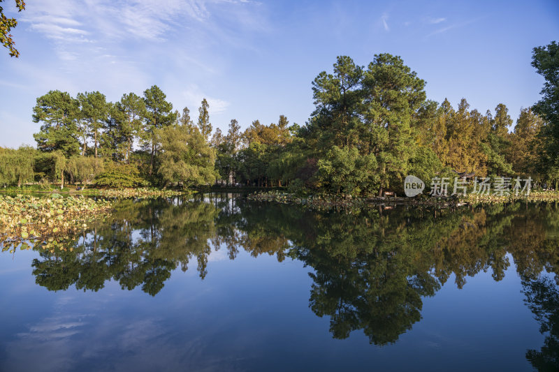 杭州西湖风景区曲院风荷风景