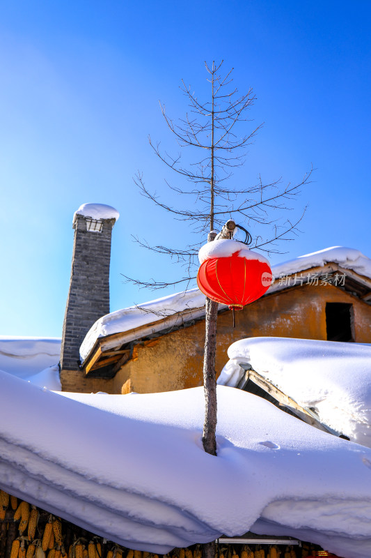 新年大雪积雪挂灯笼