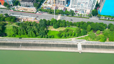 城市沿江风光带绿化植物航拍