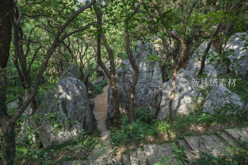 杭州凤凰山景区月岩石灰岩石林