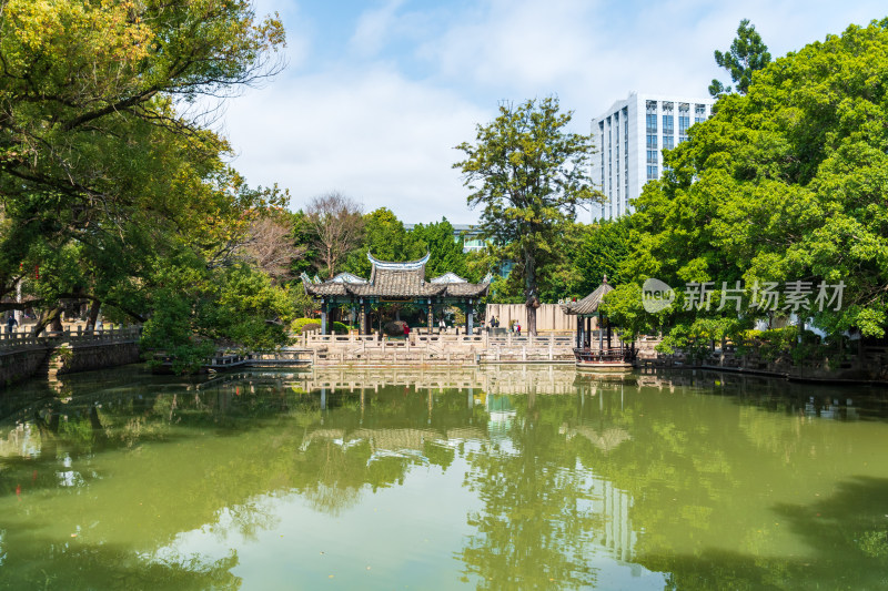 福州春天绿意盎然的冶山春秋公园景色