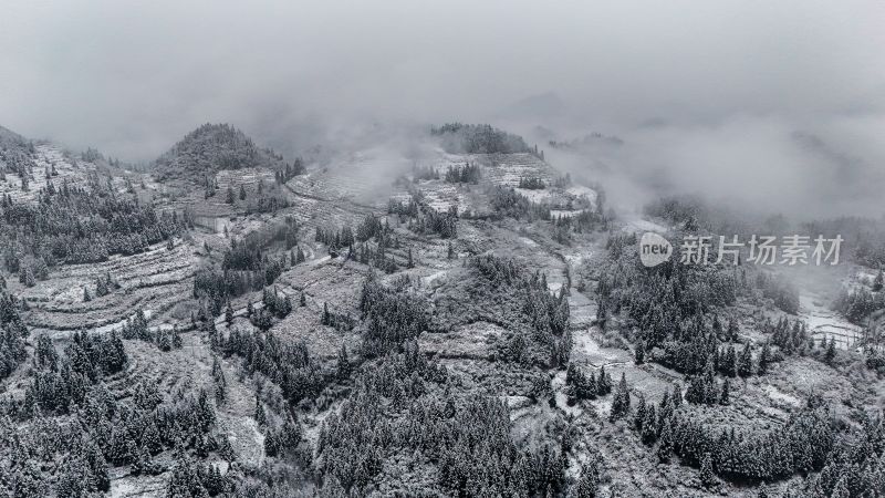 重庆酉阳：大雪纷飞赏雪忙