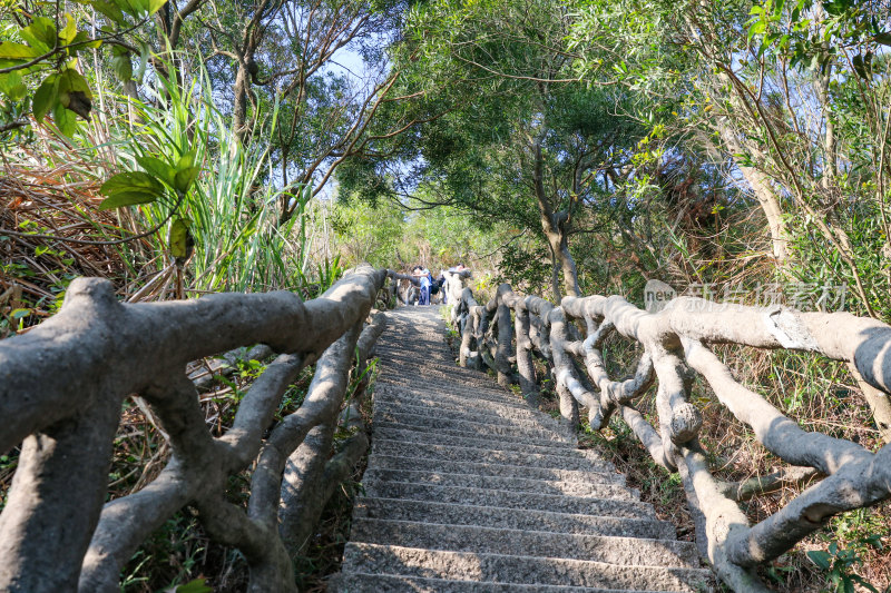 深圳梧桐山景观