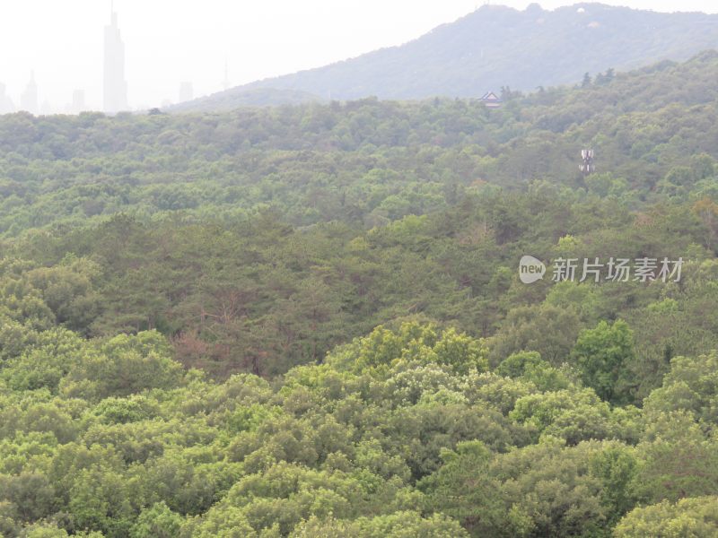 南京紫金山灵谷寺风景区