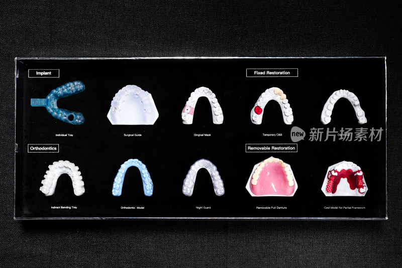 牙齿模型牙模棚拍产品图静物