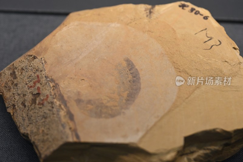 带有印记的石块特写