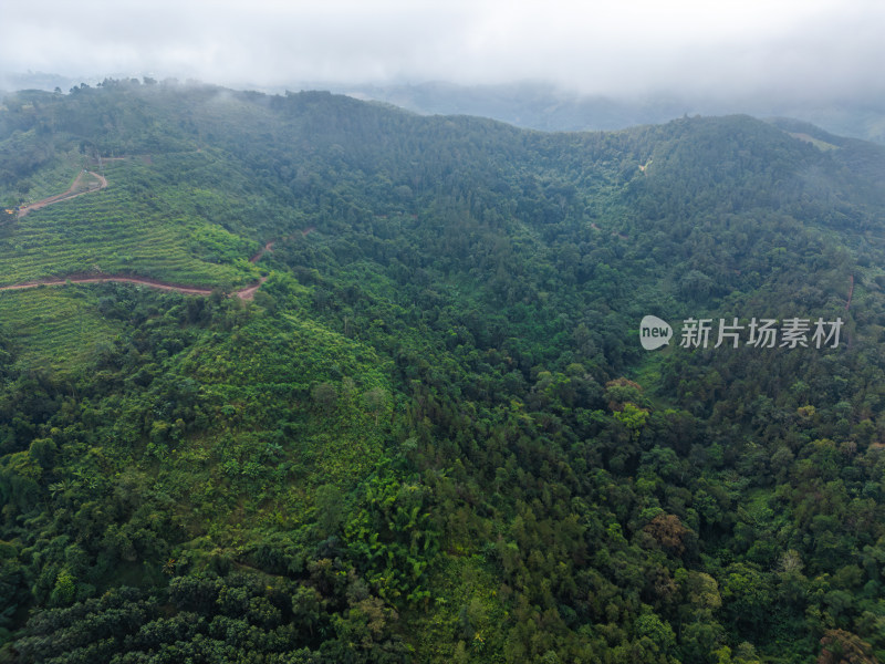 航拍绿意盎然的广袤山林自然景观