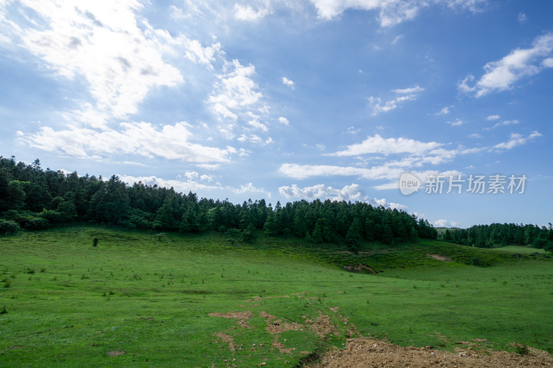 重庆市武隆区仙女山国家森林公园