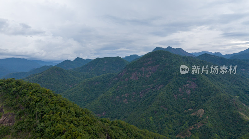 航拍武夷山森林