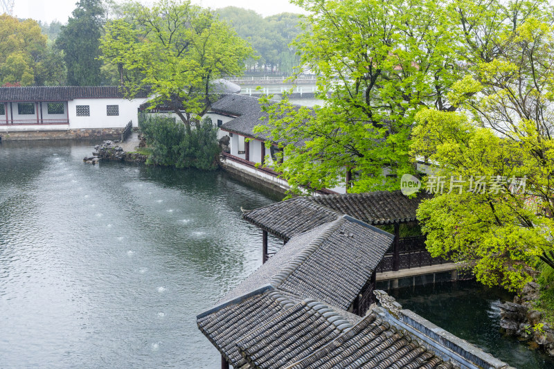 烟雨江南无锡蠡园春色