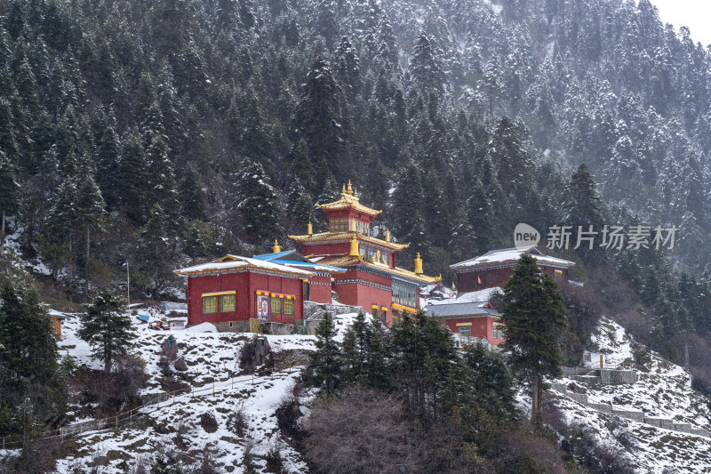 西藏林芝高原雪域冬景雪景中的红墙藏族寺庙