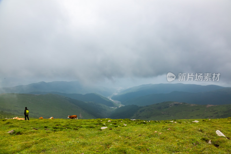 五台山朝圣路上的风景