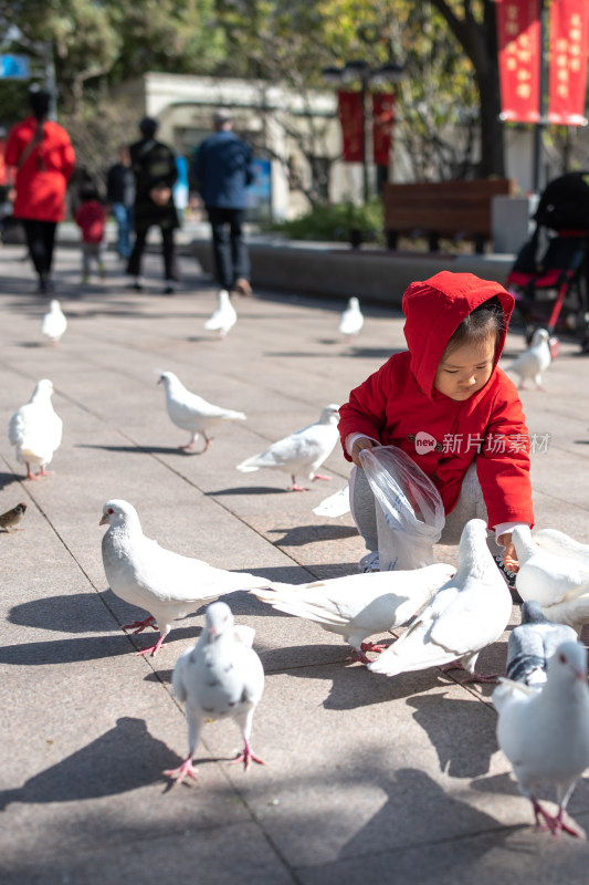 上海人民广场鸽子与儿童