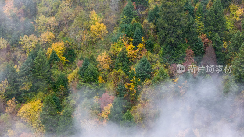 阿坝州黄龙风景名胜区秋色