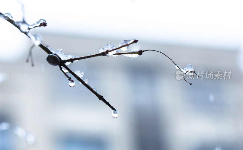 冬季雪景高清摄影图