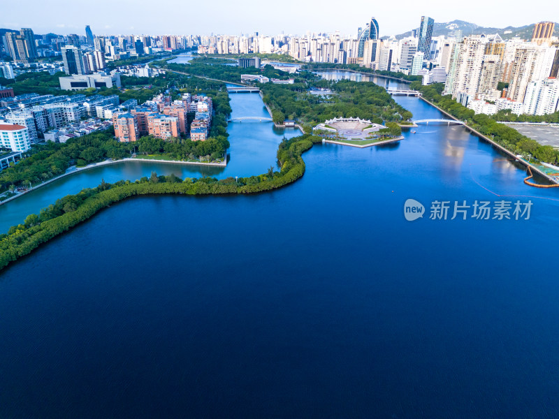 厦门筼筜湖周围建筑航拍图