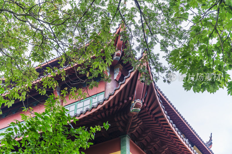 杭州西湖飞来峰灵隐寺千年古刹古建筑