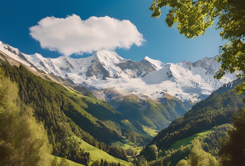 雪山高原草原森林风景