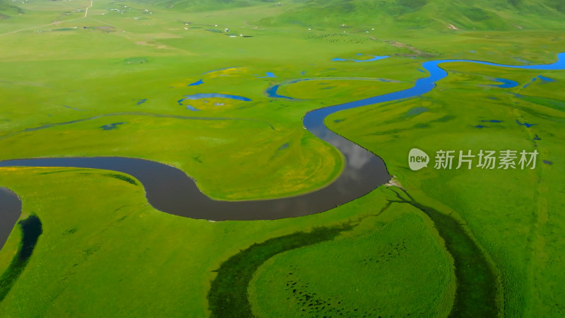 湿地 黄河 河流