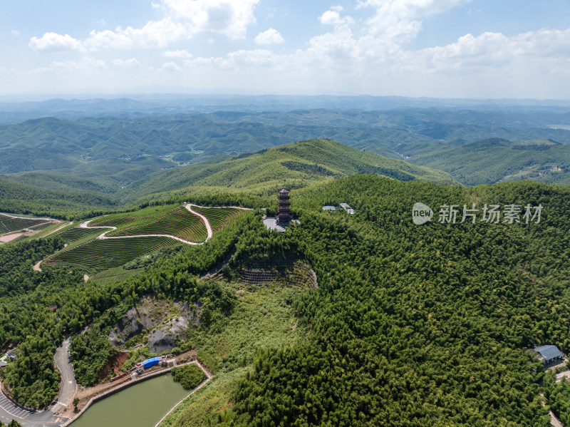 蓝天白云下航拍蔡伦竹海、层峦叠嶂的远山