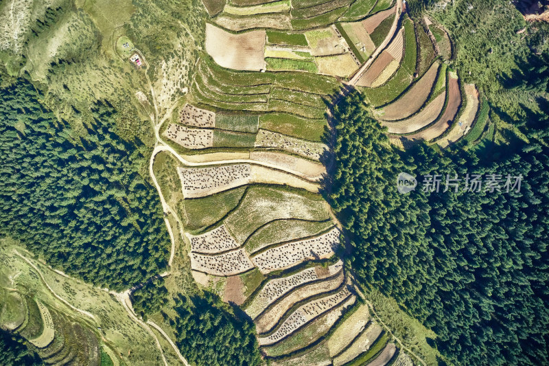 高山上的梯田