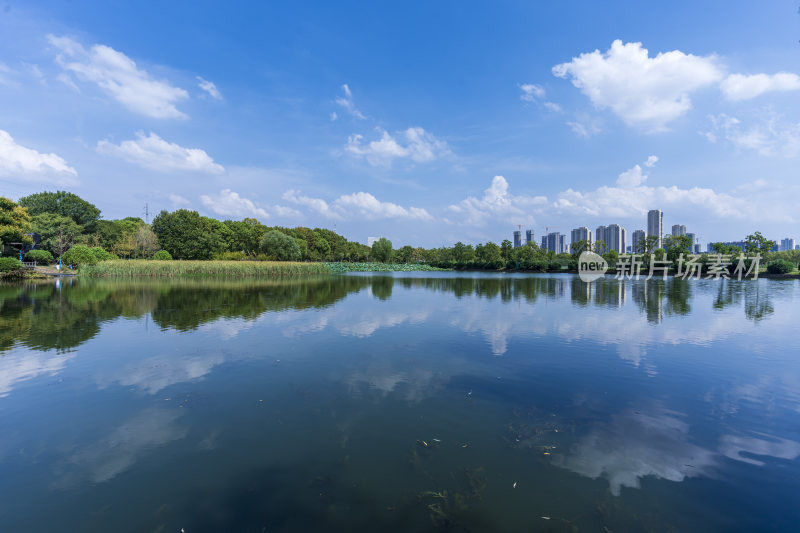 武汉蔡甸汤湖公园生态园林风景