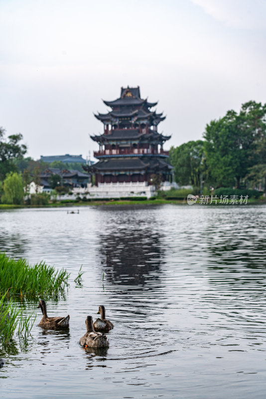 湖北武汉武昌紫阳湖公园紫阳阁