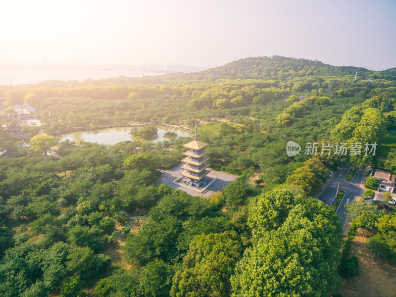 航拍夏季武汉东湖樱园五重塔