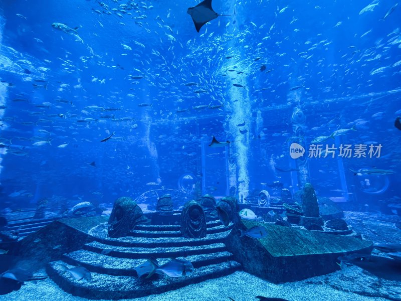 三亚亚特兰蒂斯酒店的水族馆