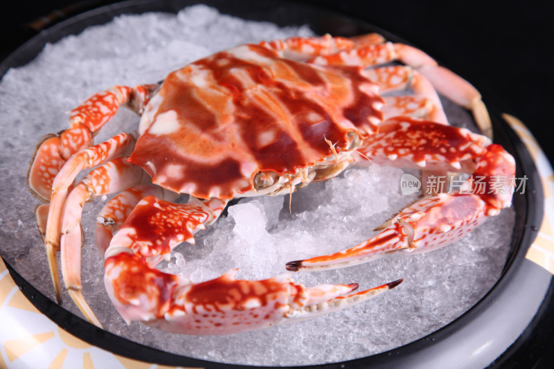 活冻深海红花蟹