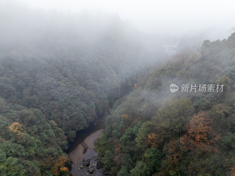 航拍四川雅安龙苍沟山林溪流秋景