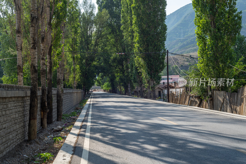 树林里的公路