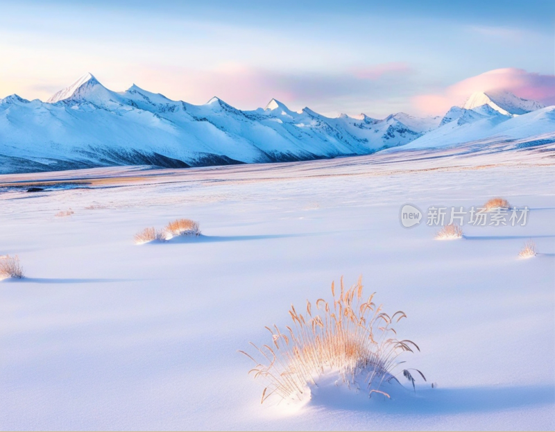 高山雪地