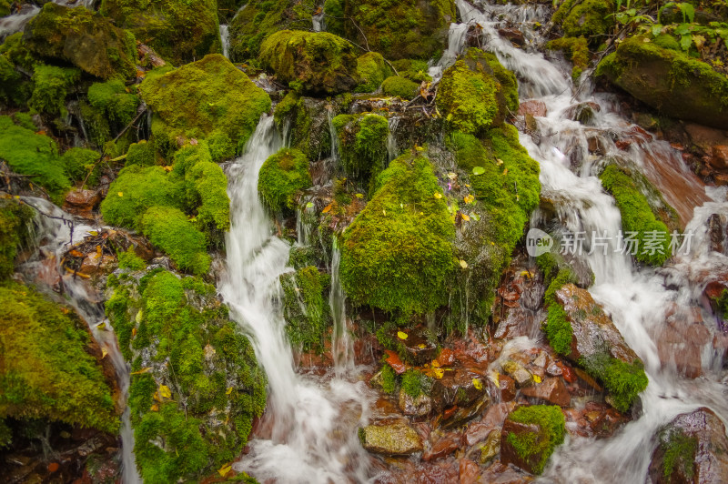 森林山谷河流绿色自然风景