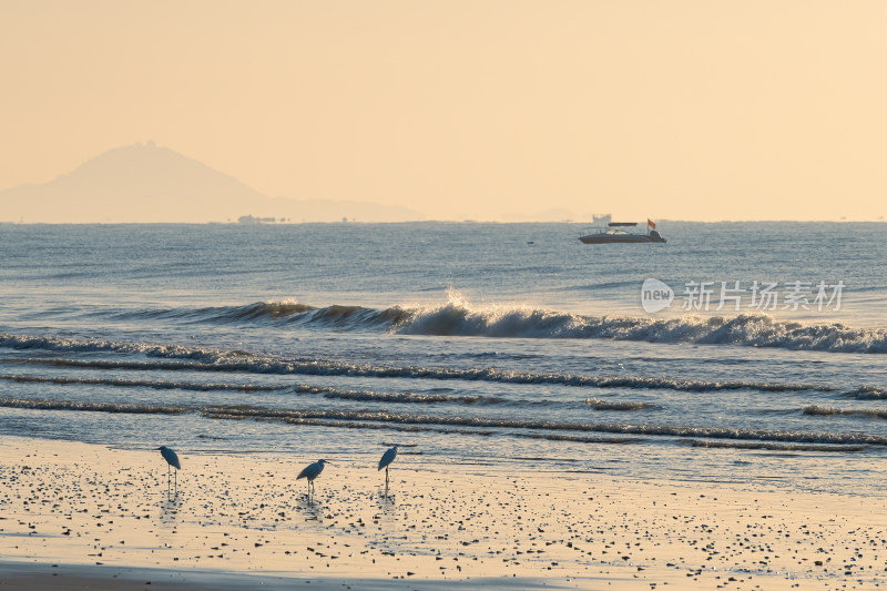 海边沙滩海浪风景