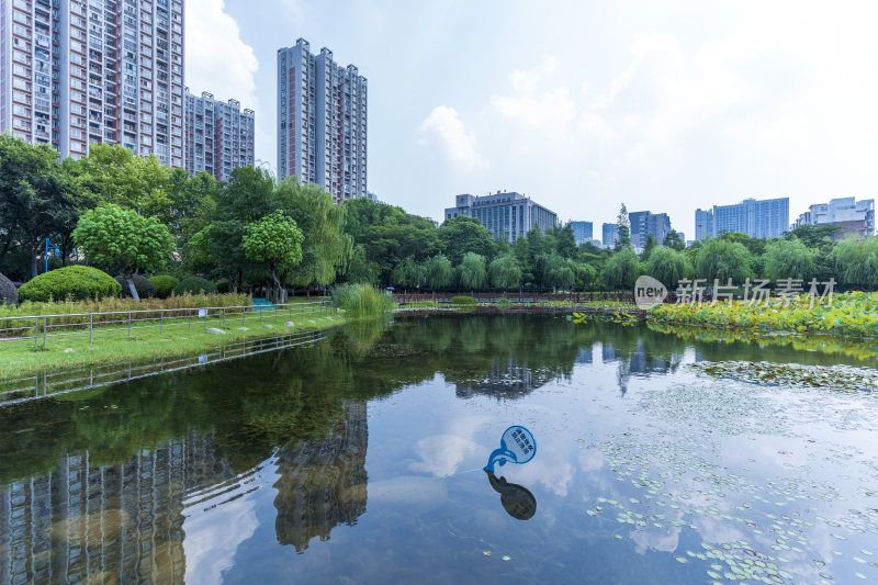 武汉关山荷兰风情园风景