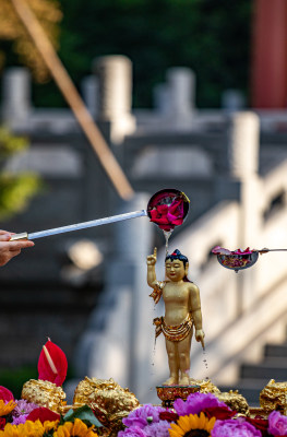 陕西西安大兴善寺佛教景点景观