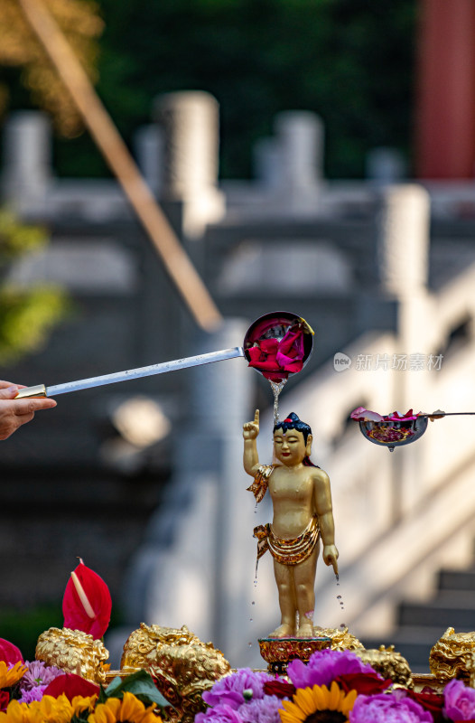 陕西西安大兴善寺佛教景点景观