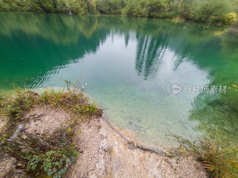 静谧的森林与湖景