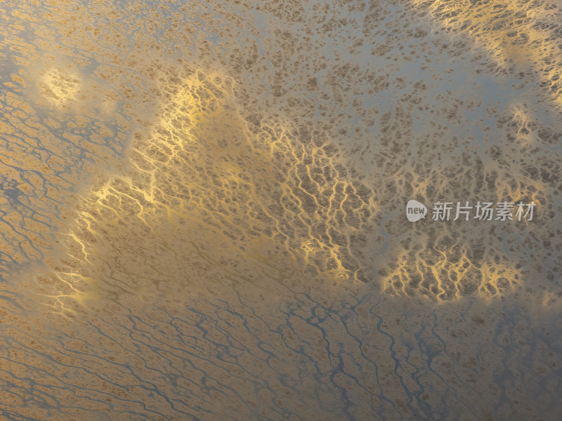 广东大湾区深圳前海湾涂滩航拍