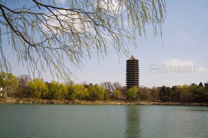 北京大学,未名湖,