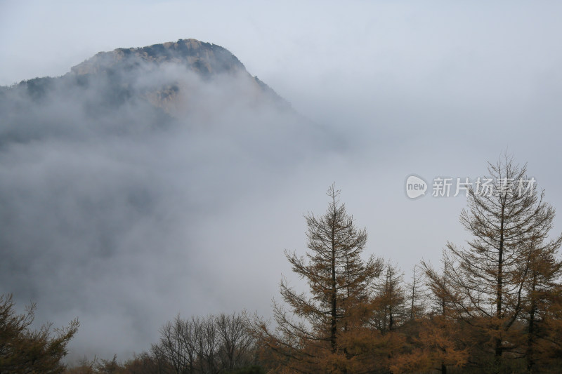 云海 山峰 山峦 山东 泰山