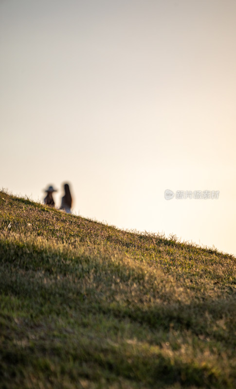 黄昏落日时青岛小麦岛公园自然风景城市景观