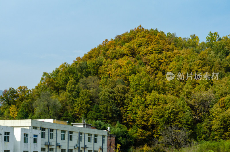 河南洛阳白云山的秋天