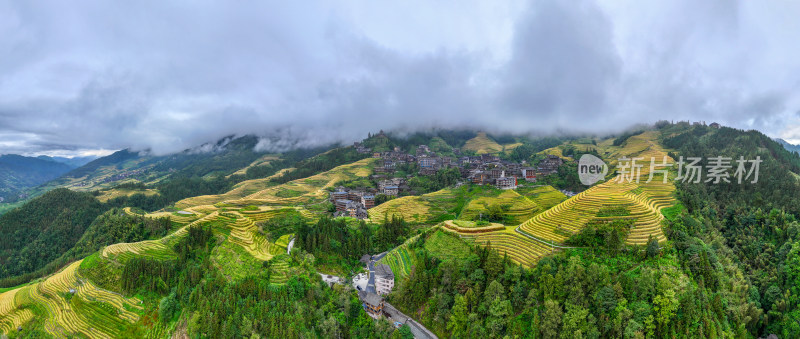 广西桂林龙脊梯田秋收稻田航拍风景